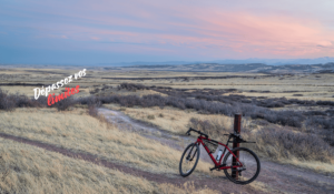 6 conseils pour bien choisir son premier vélo de gravel